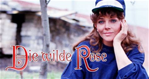 die wilde rose netflix|wild rose movie.